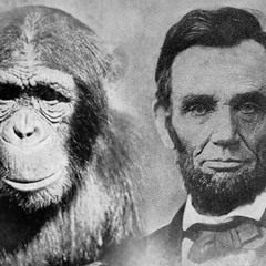 Ape Lincoln