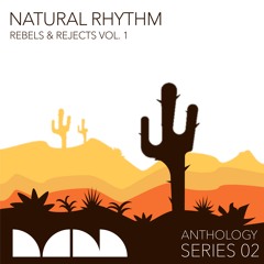 ECB & DJ Heather - Picture Of You (Natural Rhythm Remix)