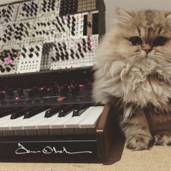 Beer & Synths jam #1, song 2