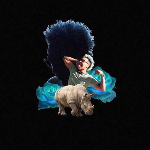 Enter the Rhino - DMarx Discography