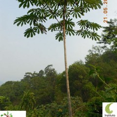 Soledad Y El Mar (Natalia Lafourcade)