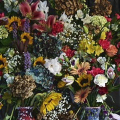 lens interlude (feat. travis scott)(prod. mike dean)