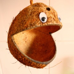 Kleine Eule Podcast #23 - Hille