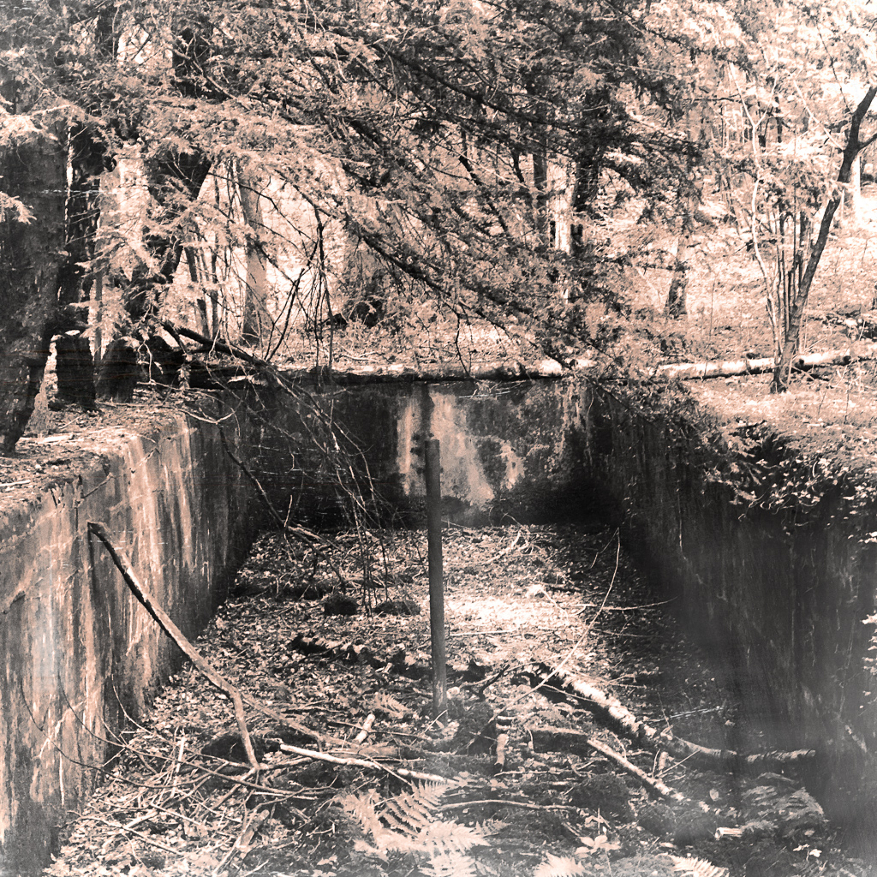 Overgrown episode artwork
