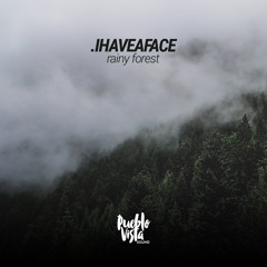 .ihaveaface - rainy forest