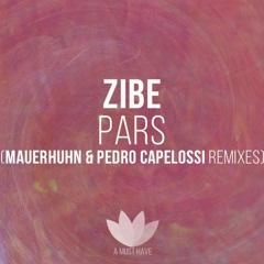 ZIBE-Pars(Original Mix)[A Must Have]