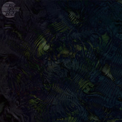 Premiere: SHALT 'Liquesce'