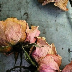 Like a Star - Corrine Bailey Rae (cover)