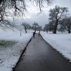 Tombe La Neige cover by benF