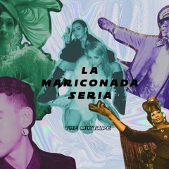 LA MARICONADA SERIA