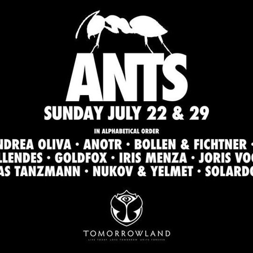 TOMORROWLAND 2018 ANTS
