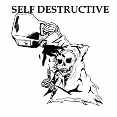 Self Destructive Nature (Prod. By Rodger) [Feat. Lil Avril]