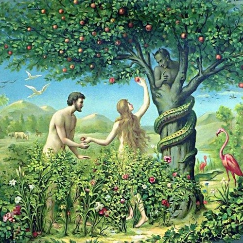 Forbidden Fruit