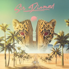 Follow The Leader (feat. M.O.E. & Pat Polzin)