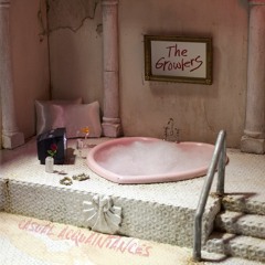 Casual Acquaintances