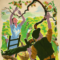 ecology/environment/global warming