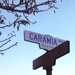 Job 38 (Carrie's Song)