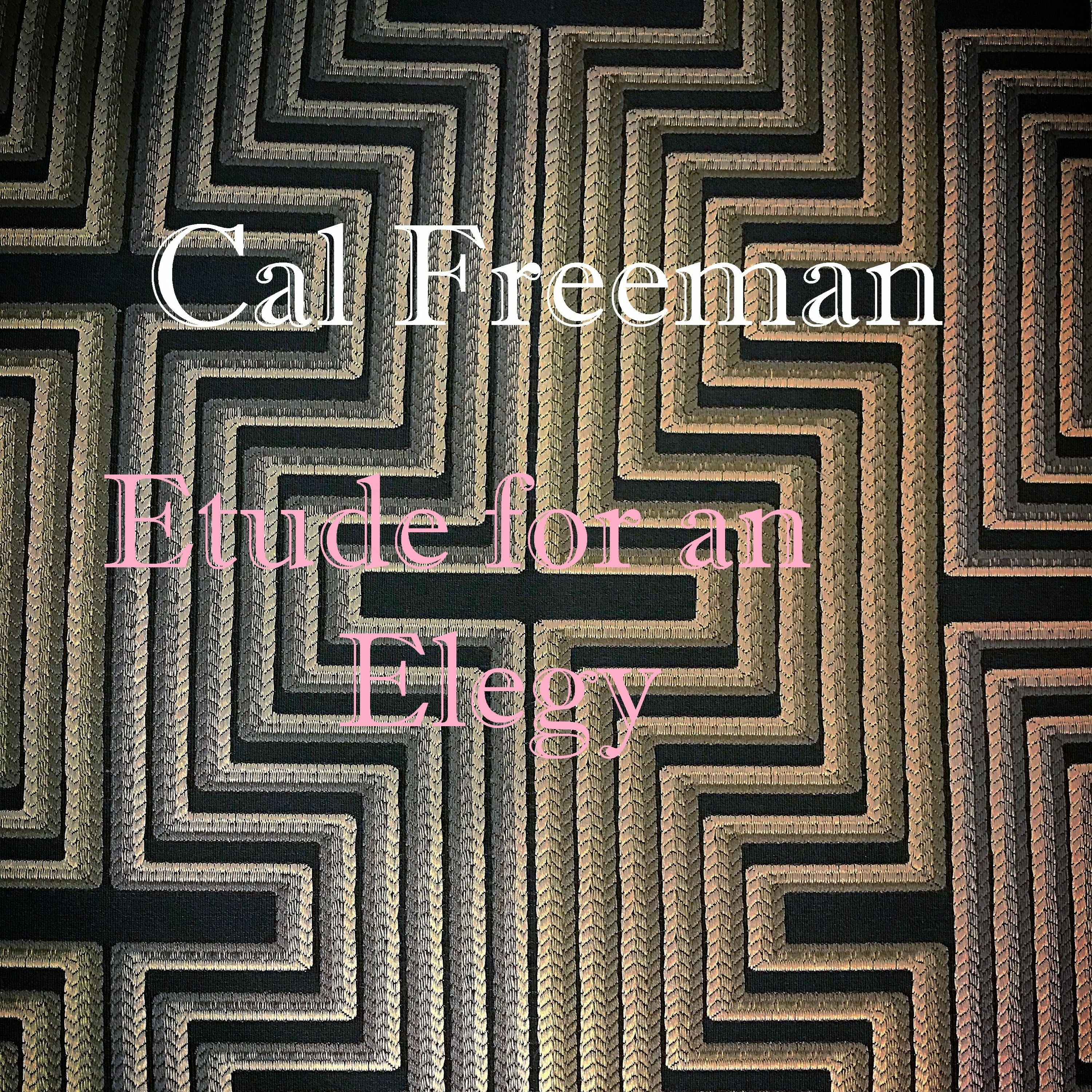 Cal Freeman: Dearborn episode artwork