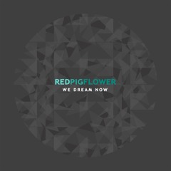Red Pig Flower - Afternoon