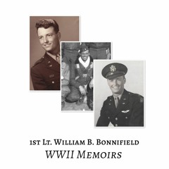 In flight - Axis Sally & AntiAircraft