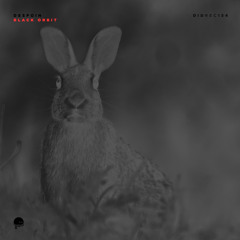 Despoin - Kinematics [DIDREC154]