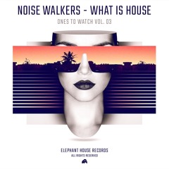 Noise Walkers - What Is House (Original Mix)