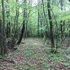 Bëschrave 30/06/18