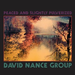 David Nance Group "Poison" (Trouble In Mind Records)