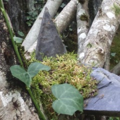 I.V.R.E. - excerpt Live SF15#3