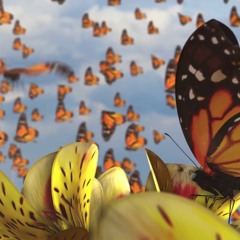 Michael Jackson - Butterflies (Edit)