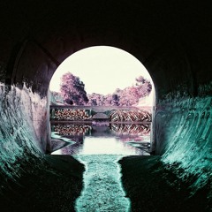 samtbody - Waldkuckuck mix