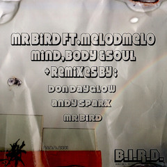 Mind Body & Soul (ANDY SPARX REMIX)