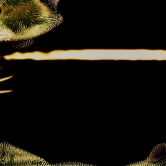 Yamaneko - Second Encounter (from LOC043 - Afterglow)