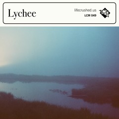 LCM049 - Lychee