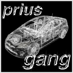 PRIUS GANG