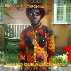 Protoje Feat. Chronixx - Who Knows (Grand Dub Audio Remix) // FREE DOWNLOAD