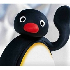 noot noot