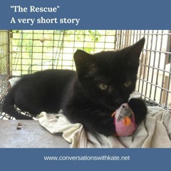 The Rescue - A very short story by Kate