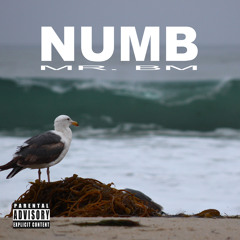 NUMB - (deep lryics)