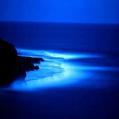 Promo Blue Sea | لون البحر آزرق