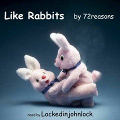 rabbits