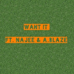 Want It (Ft. Najee & A.Blaze)