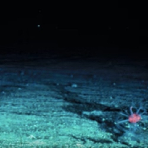 The Challenger Deep