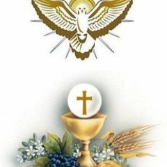 നാവിലെരിയും കനലായ്‌  Christian Communion Song by Fr Lijesh Panackavayalil MST