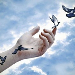 AugustRush2018 By KayB