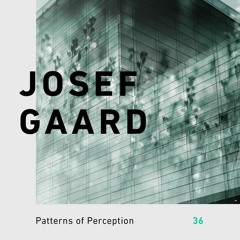 Patterns of Perception 36 - Josef Gaard