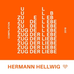 Hermann Hellwig - Input Mode