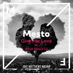 Give Me All Your Love Vs What About Us Mesto Vs Pink (ATEC Mashup)
