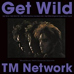 Get Wild 2016 / TM NETWORK