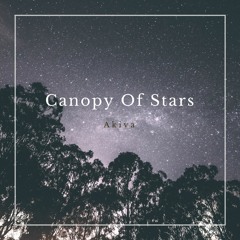 Canopy Of Stars